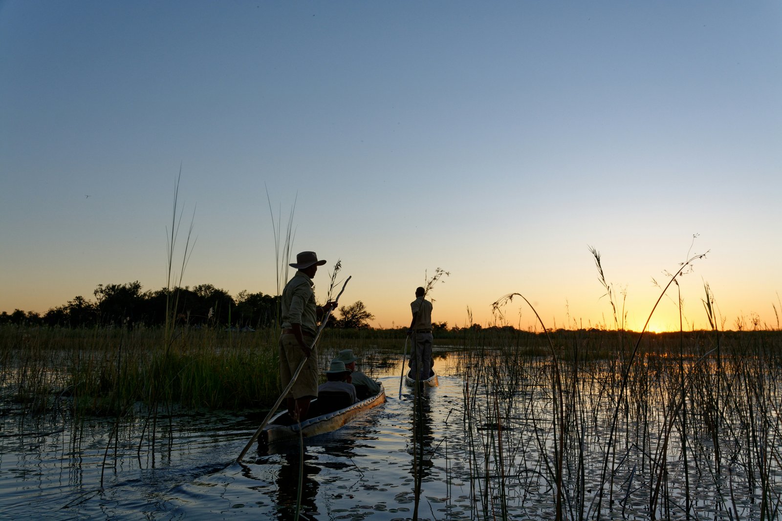 Botswana safari landscape