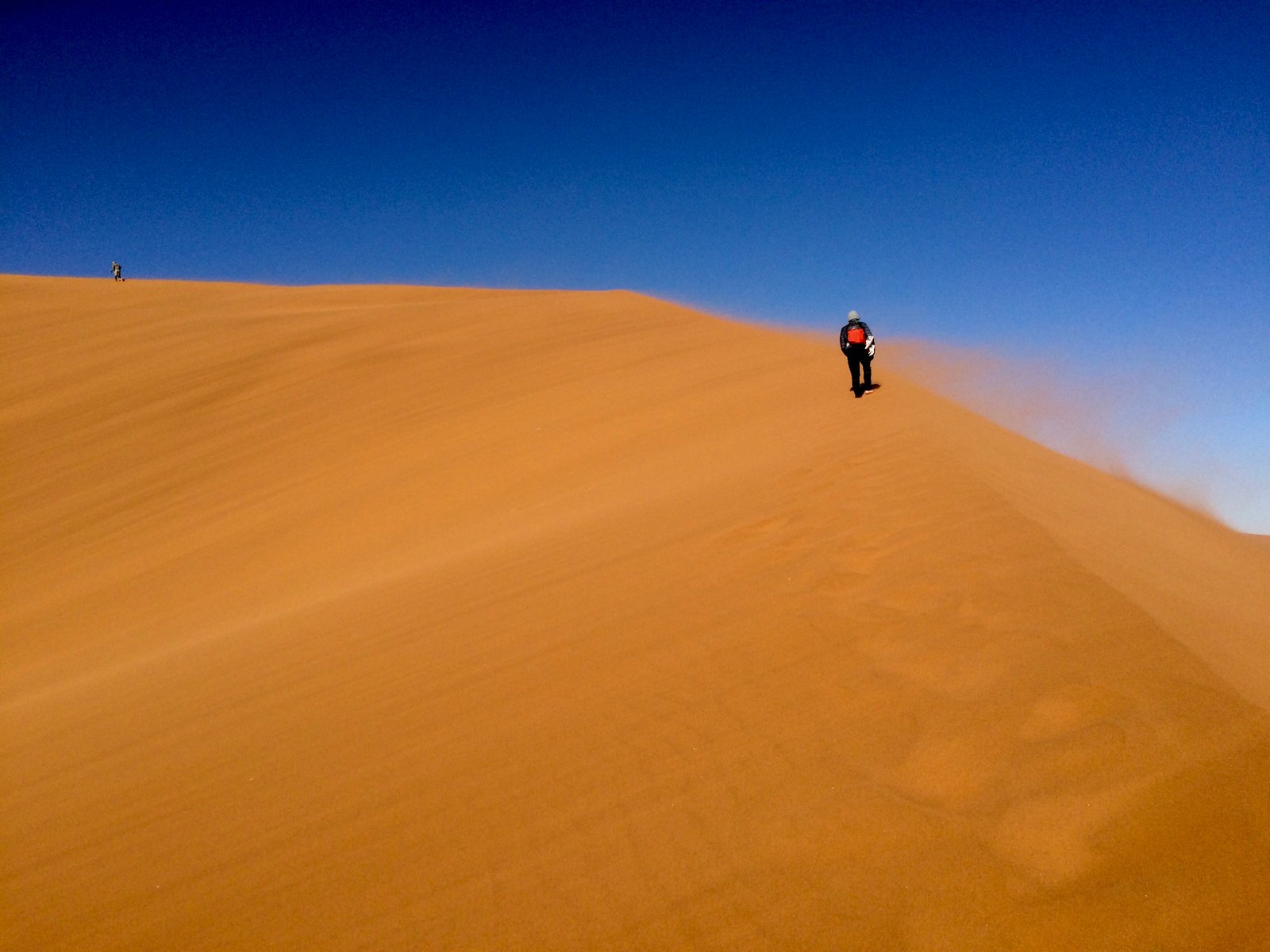 Namibia wildlife