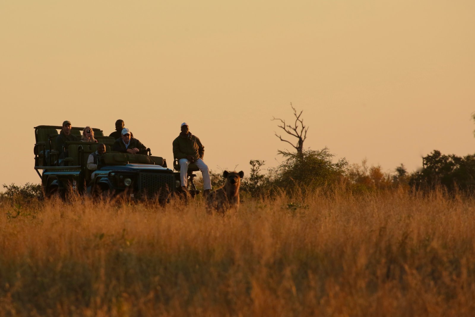 South Africa wildlife