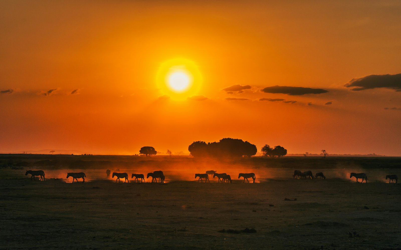 Namibia landscape