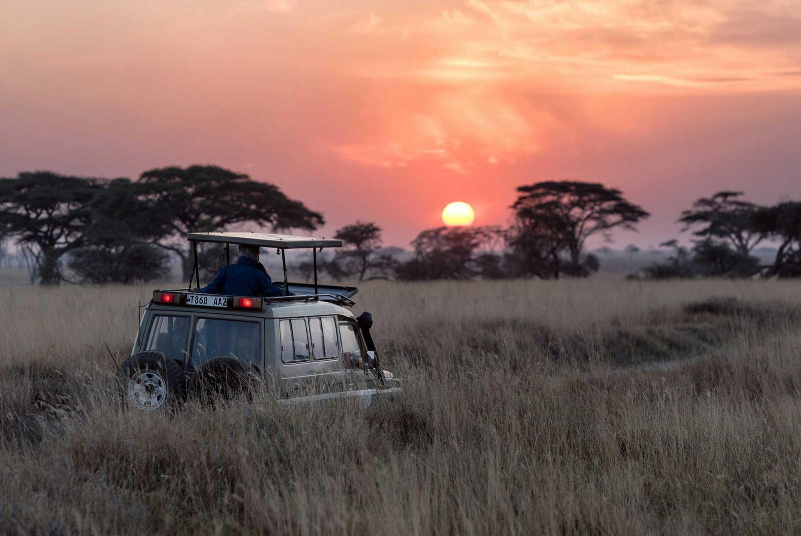 Tanzania safari landscape